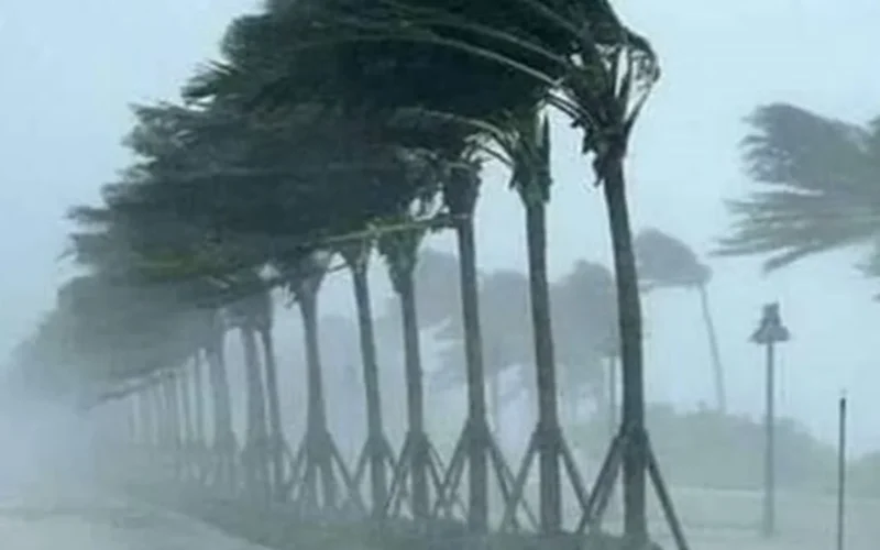 تحذير رسمي.. الأرصاد الجوية تترقب انخفاض الرؤية الأفقية لأقل من 1000 متر